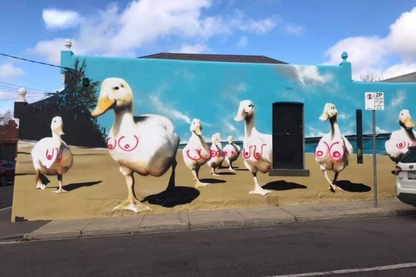 Kensington Ducks mural protected with an anti graffiti coating