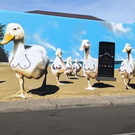 Kensington Ducks mural defaced with graffiti